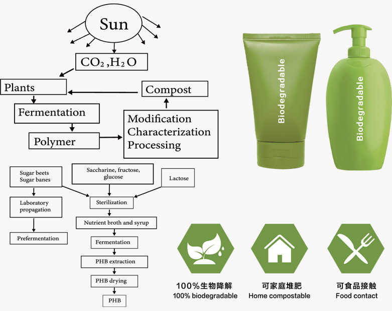 Compost Biodegradable