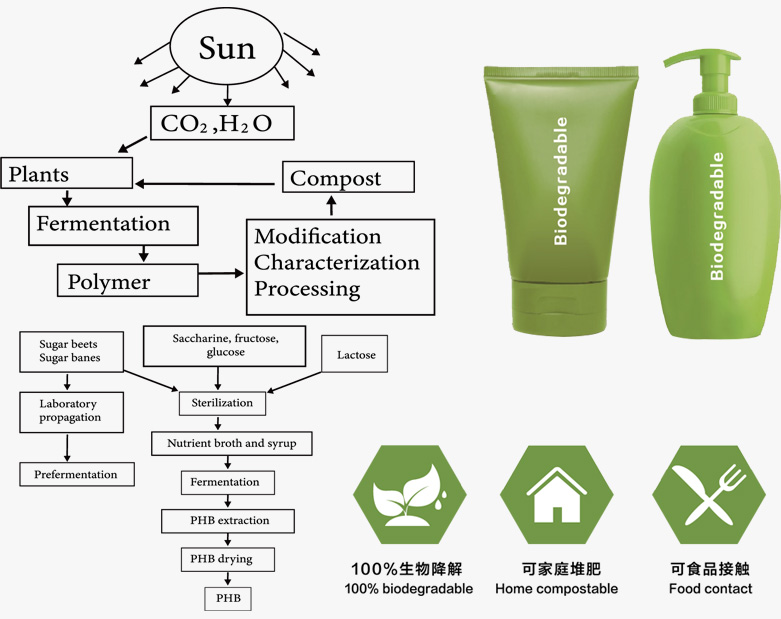 Compost Biodegradable