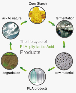 The life cycle of PLA pliy-lactic-Acid Products